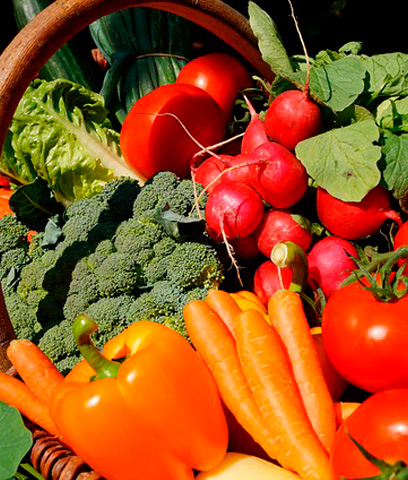 Foto cesta verduras de exportacion de hortalizas